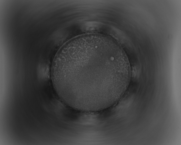 X0000095680820200801081227