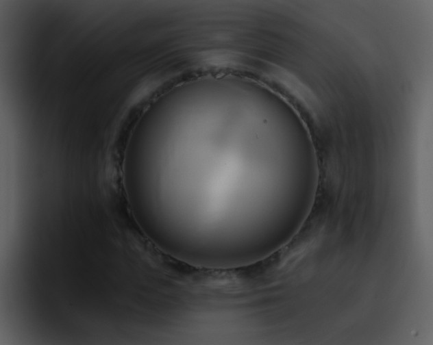 X0000095680823200801081227