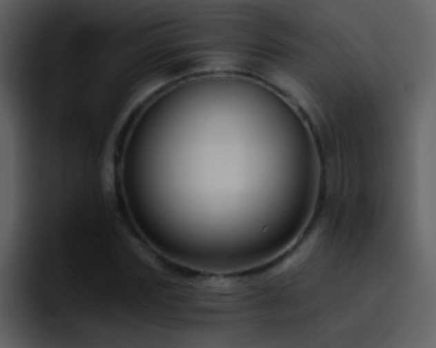 X0000095680827200801081227