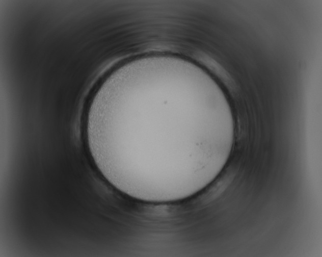 X0000095680828200801081227