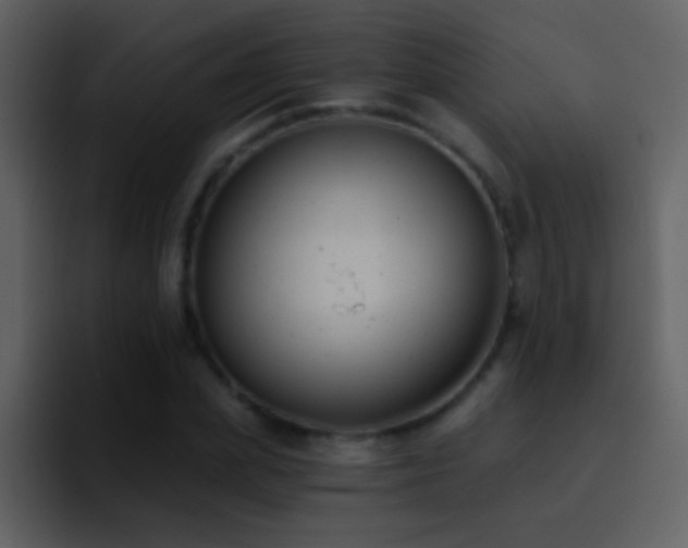 X0000095680831200801081227