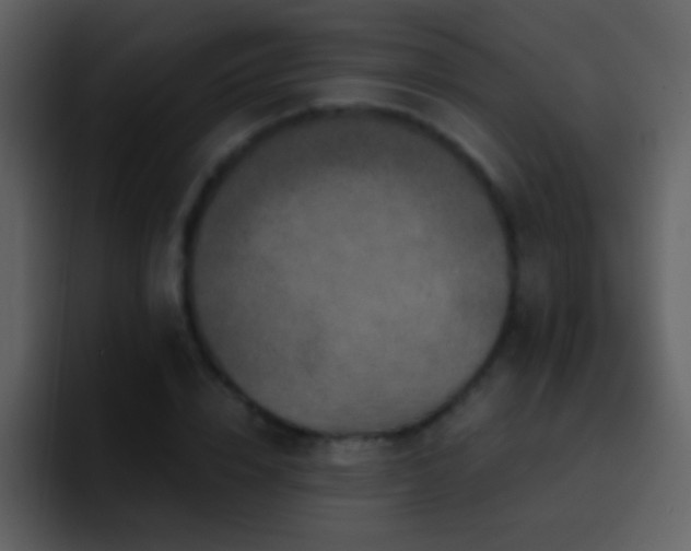 X0000095680832200801081227