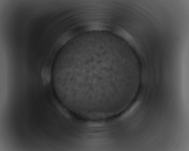 X0000095680833200801081227