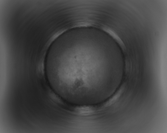 X0000095680834200801081227