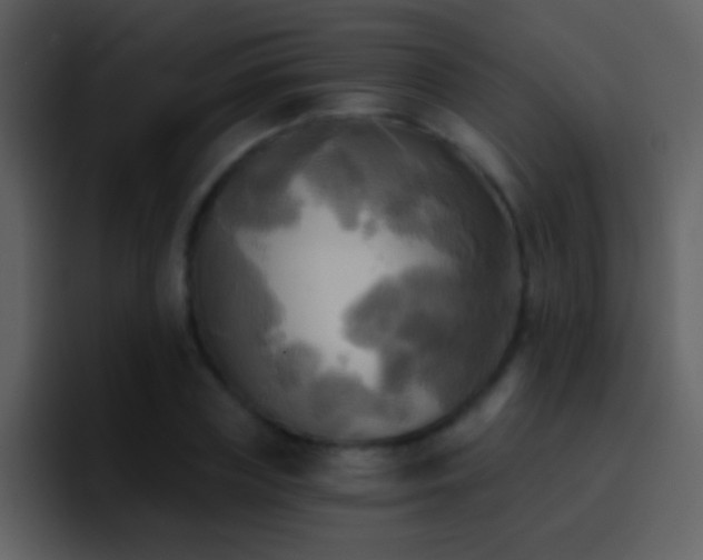 X0000095680835200801081227