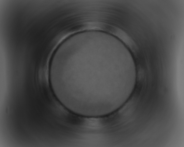 X0000095680836200801081227