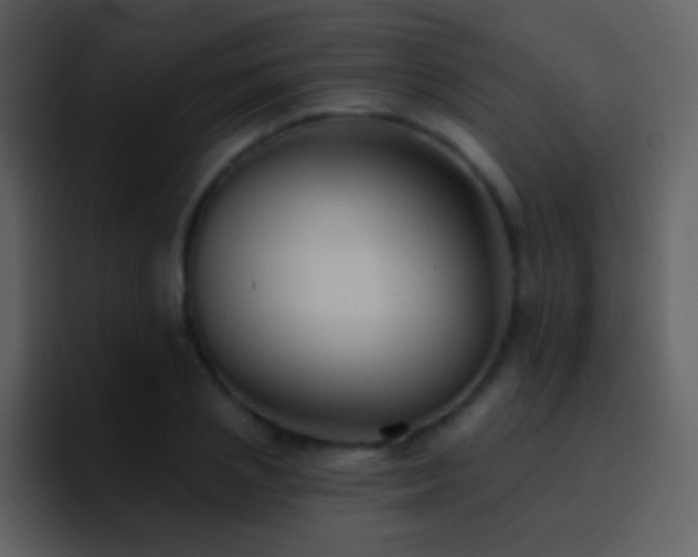 X0000095680837200801081227