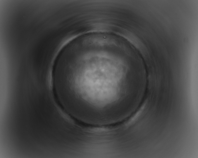 X0000095680838200801081227