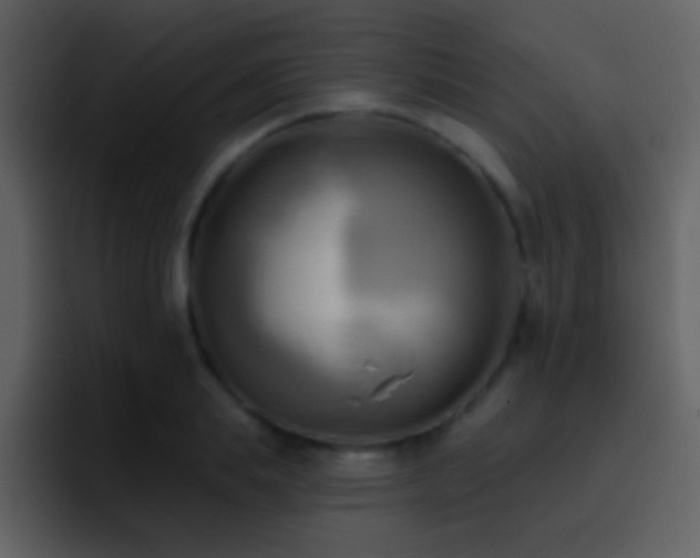 X0000095680839200801081227