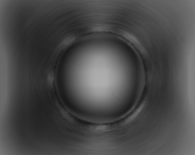 X0000095680841200801081227
