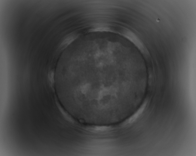 X0000095680849200801081227