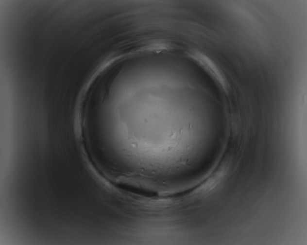 X0000095680851200801081227