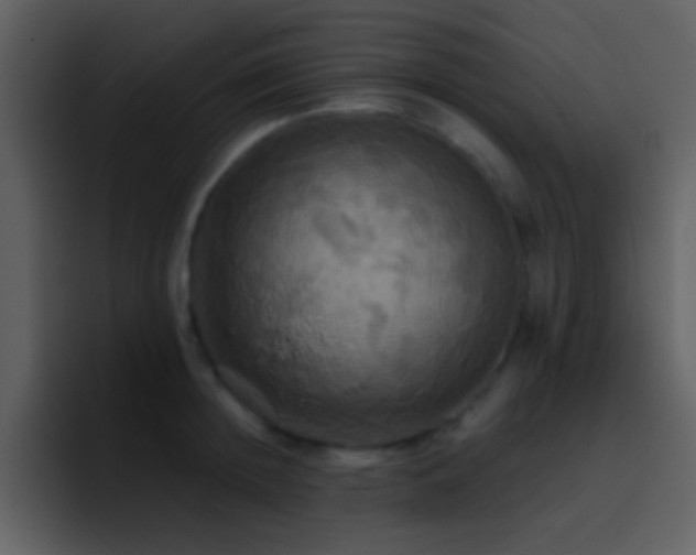X0000095680852200801081227