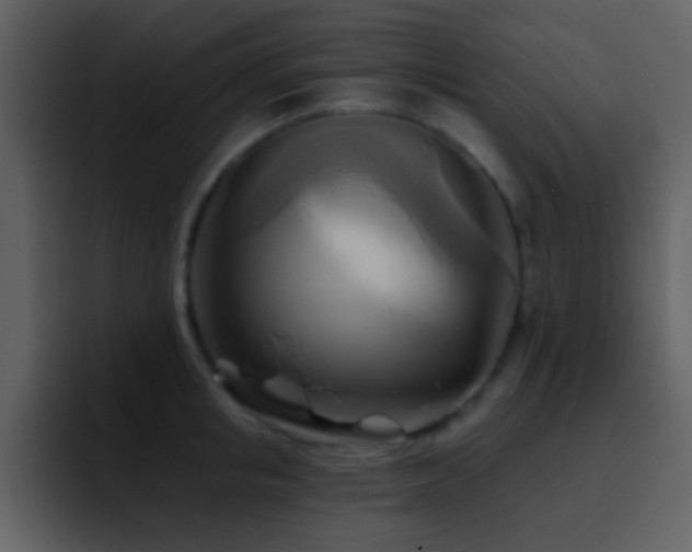 X0000095680853200801081227