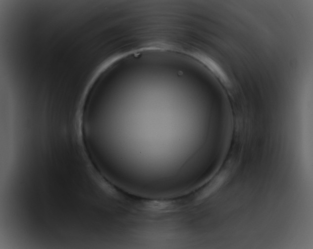 X0000095680854200801081227