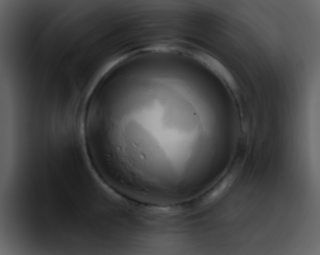 X0000095680855200801081227