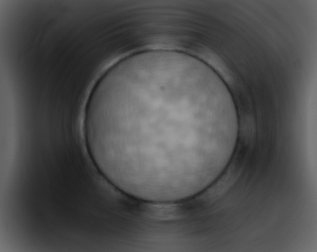 X0000095680856200801081227