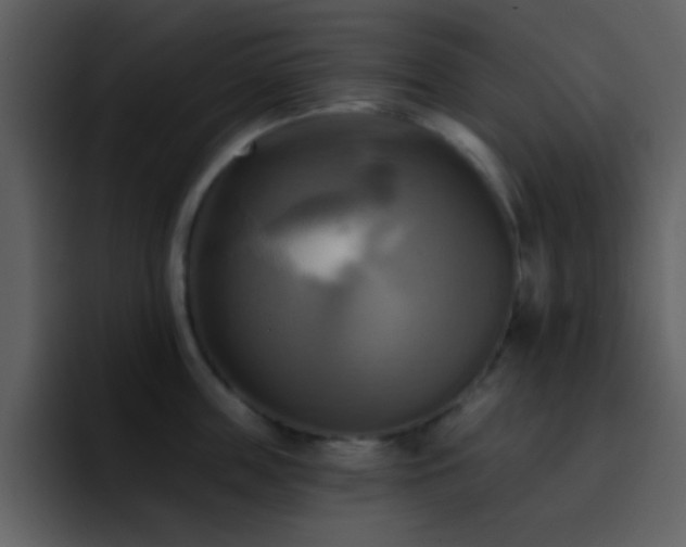 X0000095680859200801081227