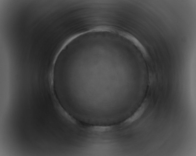 X0000095680860200801081227