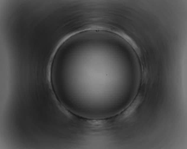 X0000095680862200801081227