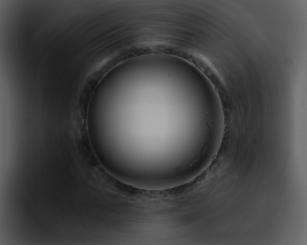 X0000095680871200801081227