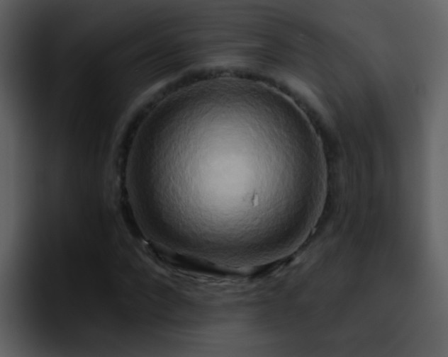 X0000095680872200801081227