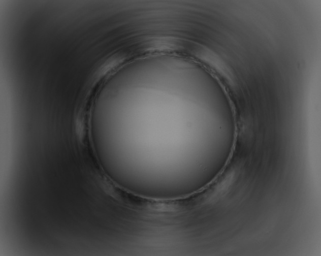 X0000095680874200801081227