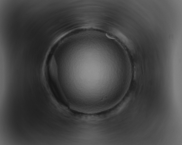 X0000095680876200801081227