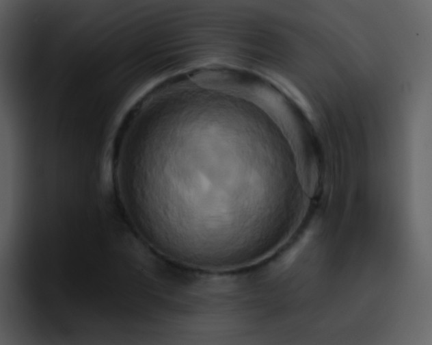 X0000095680877200801081227