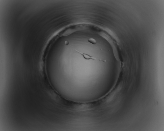 X0000095680879200801081227