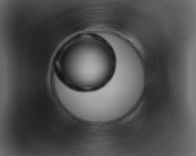 X0000095680880200801081227
