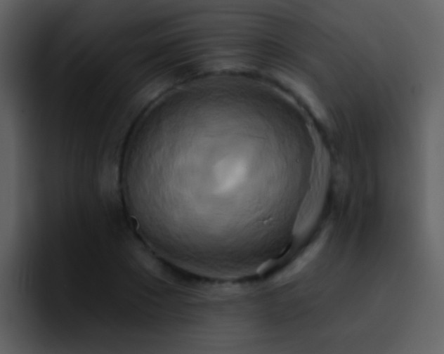 X0000095680881200801081227