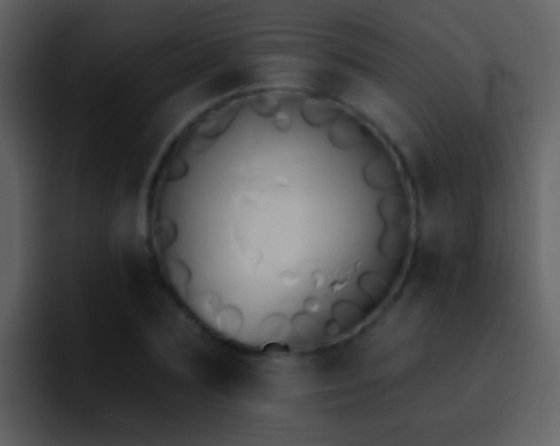X0000095680883200801081227