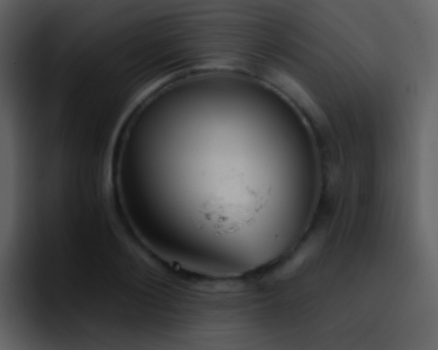 X0000095680884200801081227