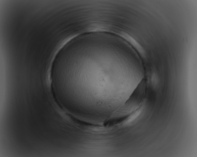 X0000095680885200801081226