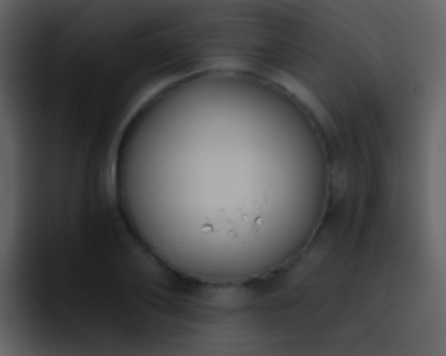 X0000095680886200801081226