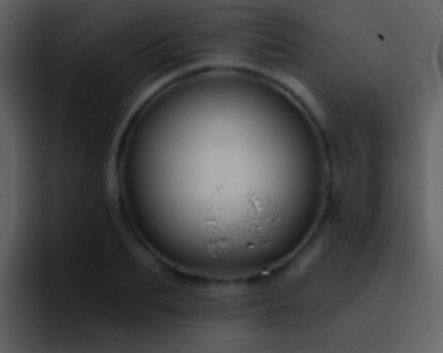 X0000095680887200801081226