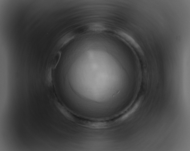 X0000095680889200801081226