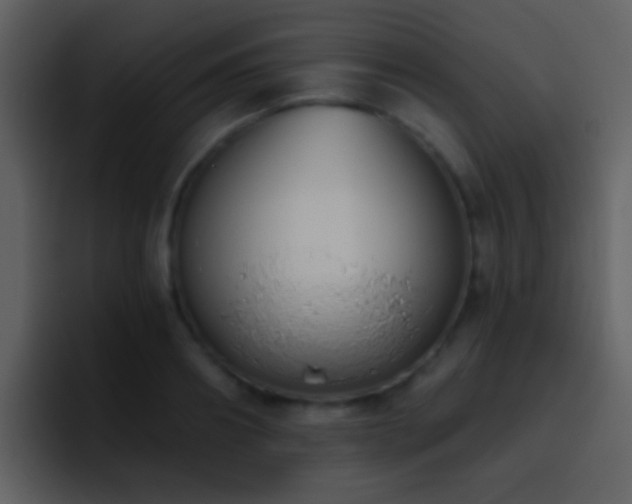 X0000095680890200801081226