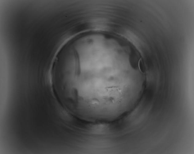 X0000095680891200801081226