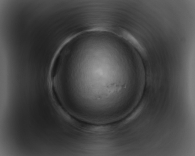 X0000095680892200801081226