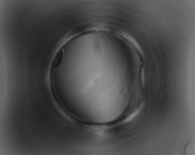 X0000095680893200801081226