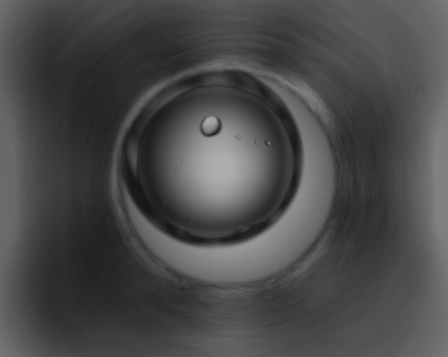 X0000095680896200801081226