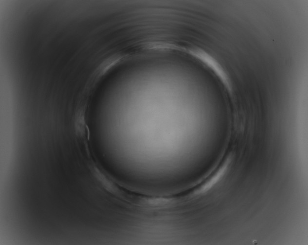 X0000095680897200801081226