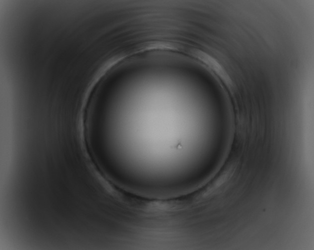 X0000095680898200801081226