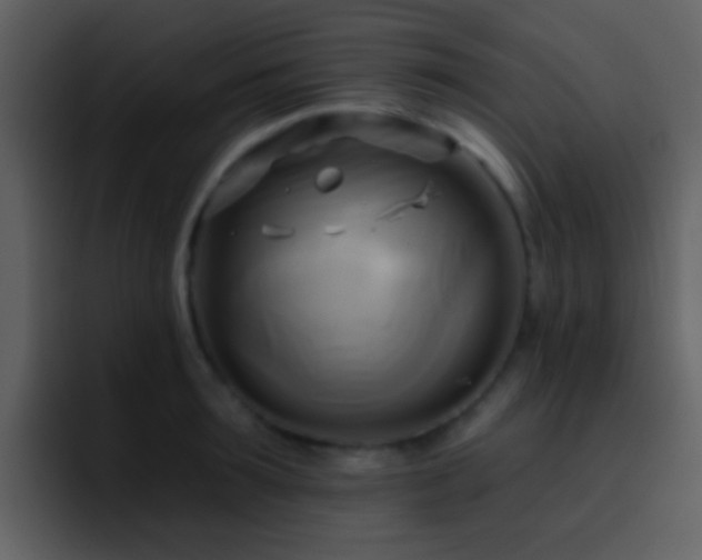 X0000095680899200801081226