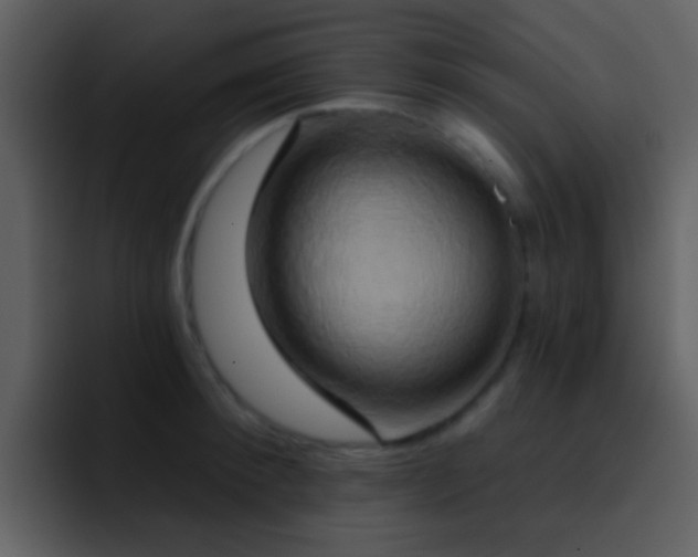 X0000095680900200801081226