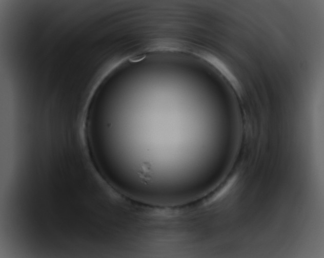 X0000095680901200801081226