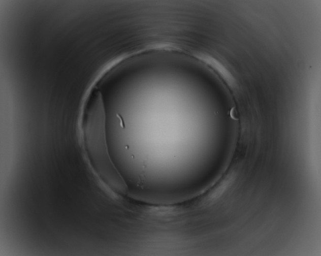 X0000095680902200801081226