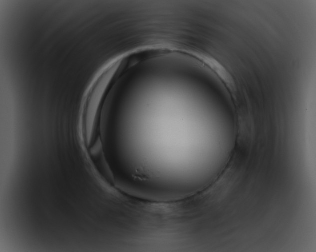 X0000095680904200801081226